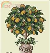 Dimensions 70-72847 - Lemon Tree