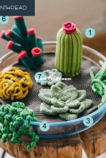 Common thread - DMC - Crochet Succulents  - Free
