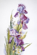 Marya Iskusnitsa 06.002.46 - Irises and daisies
