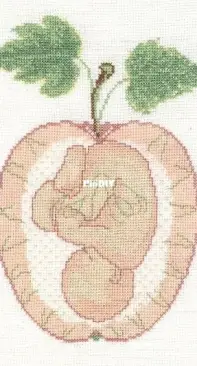 Lanarte - Baby in Apple by Maria van Scharrenburg