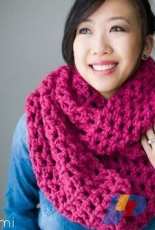 All About Ami - Stephanie Jessica Lau-Long Double Crochet Cowl - French - Translated - Free