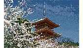 Kreuzstich Kreativ - Cherry Blossoms in Japan