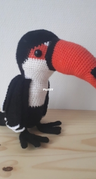 Toucan