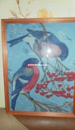 Bullfinches