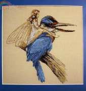 Nimue Fee Main - The Kingfisher / Le Martin Pecheur XSD
