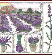 Lavender sampler from DFEA N°44