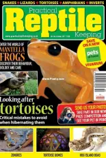 Practical Reptile Keeping Issue 104 October 2017