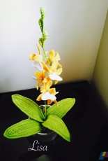 Lisahandmade- Lisa Lisa-  Ballerina Orchid - Free