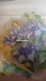 clematis fairy