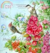 HAED HAETTF 1942 Bird Song by Tatiana Fedrova