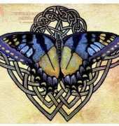 HAED HAEARQS 1411 QS Celtic Butterfly One by Amanda Robinson