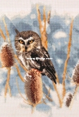 Alisena 995 Owl XSD