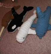 Ocean Animals