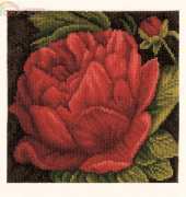 Lanarte PN-0144515 Peony