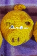 pig