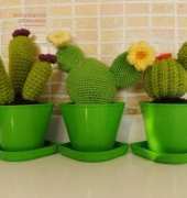 Cactus!!!