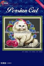 DOME 110805 Persian Cat