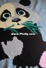 Plaid C2C