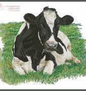 Thea Gouverneur - TG 451 Cow