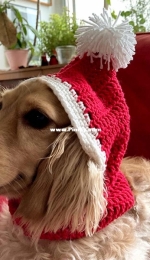 Atelie Pingouin - Rosangela Gonçalves - Dog Hat - Balaclava canina -  Gorro Canino - Portuguese - Free