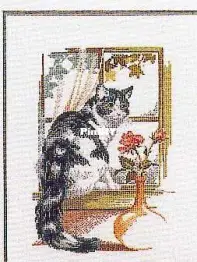 Pako 235.329 Cat in window
