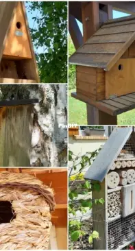 Shelters for birds and insects
