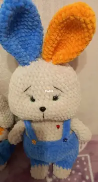 Bunny boy