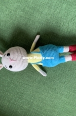 Rabbit