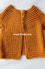 Holland Designs - Lisa van Klaveren - Classic Baby Cardigan