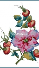 Ameli Stitch - Rosehip by Anna Smith /Kuznetsova XSD
