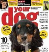 Your Dog March 2015
