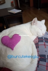 Heart with Cat