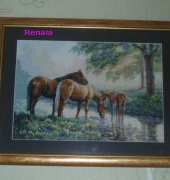 Dimensions Horses by the stream