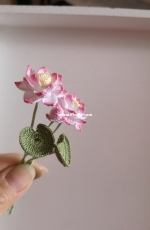 lotus