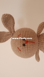Aquariwool- Bunny