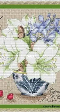 White Amaryllis by Alena Koshkina XSD