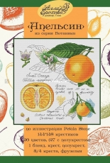 Botany Series - Orange by Alla Erokhova XSD