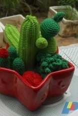 Knitted Cactus
