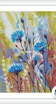 Rainbow Cornflowers by Anna Ulchitskaya