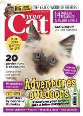 Your Cat Issue 6 June 2015