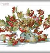 Luca-S B2272 Guelder