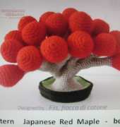 Cottonflake - Daniela Duma -  Japanese red maple bonsai