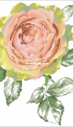 Rose Inspiration by Ekaterina Volkova xsd