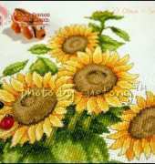<otwo design> Sunflower