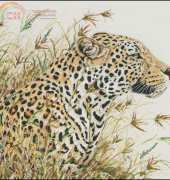 Anchor - Maia 5678000 - 01065 - Leopard Safari in XSD