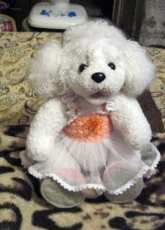 The puppy poodle from lika57