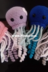 jellyfish