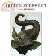 Ross Originals - Indian Elephant