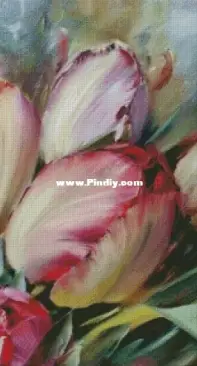 Chimera - Watercolor Tulips