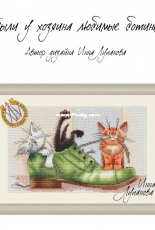 The Owner Had Favorite Shoes by Inna Lupanova